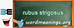 WordMeaning blackboard for rubus strigosus